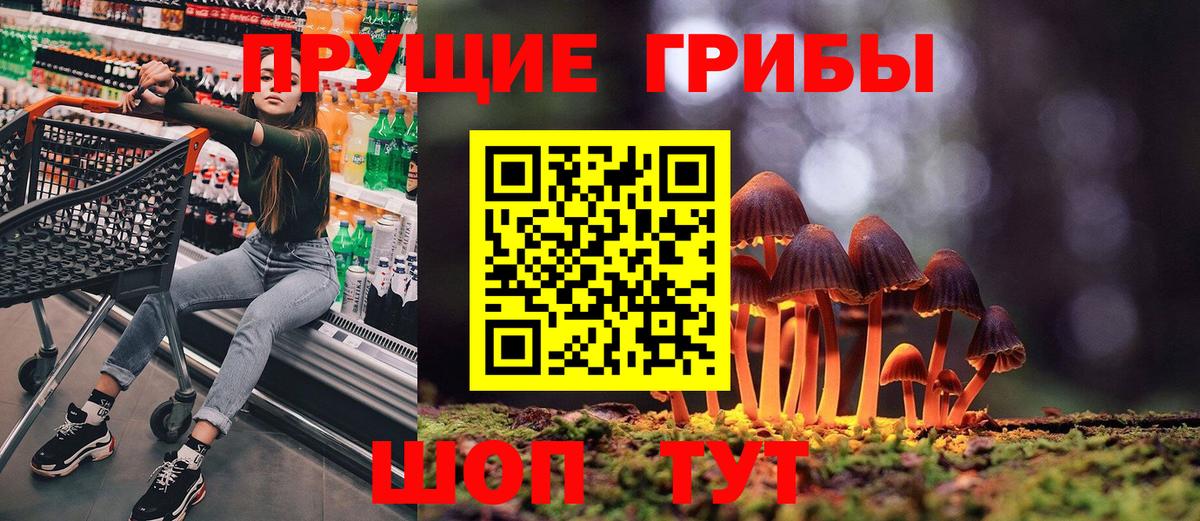где можно купить   Вход с VPN  Павлово  Галлюциногенные грибы Magic Shrooms 