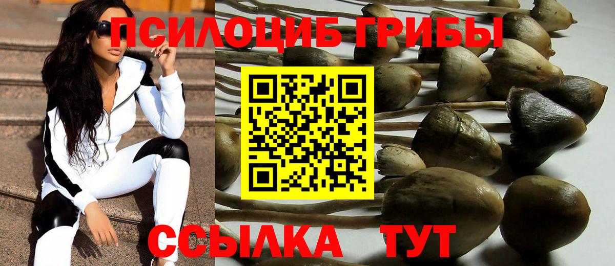 Галлюциногенные грибы Magic Shrooms Павлово